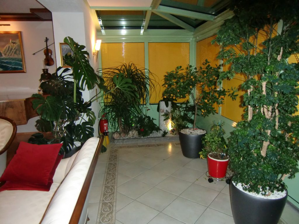 Wintergarten mit Pflanzen Pflanzen für Entspannung im hellen Wintergarten