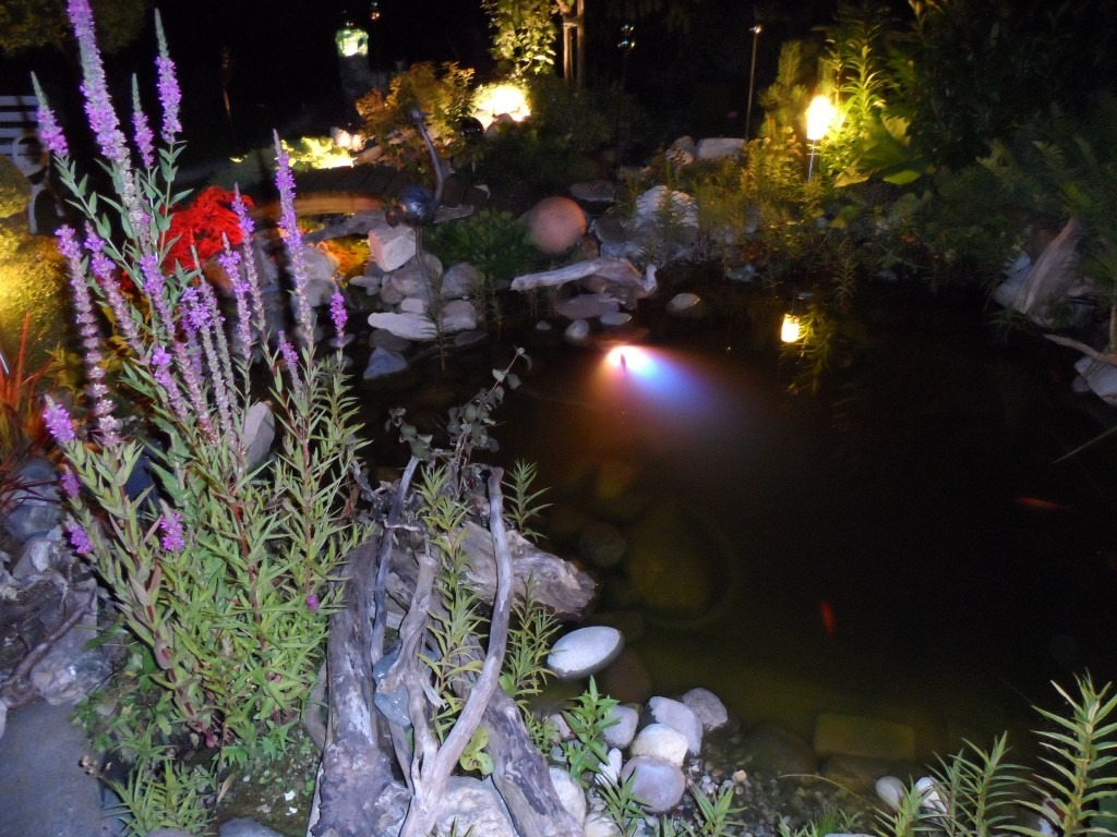Bepflanzter Gartenteich mit Seerosen und natürlicher Uferzone