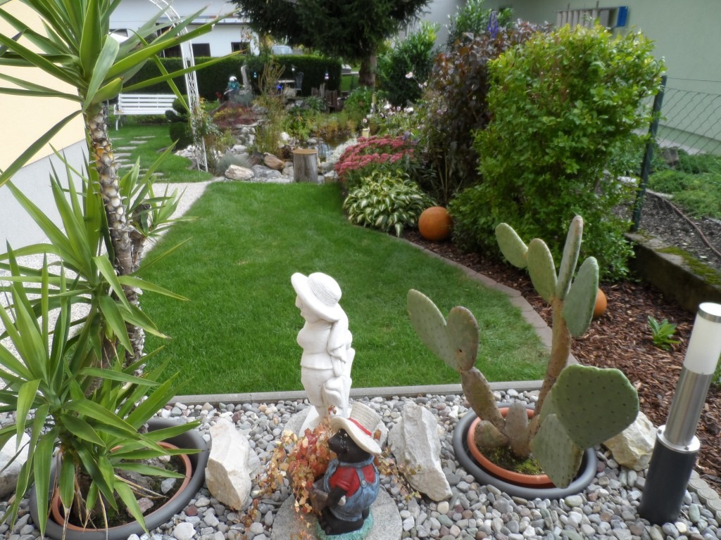 Kaktus und Yucca für mediterranes Gartenflair Mediterrane Pflanzen im Garten mit Kaktus und Yucca