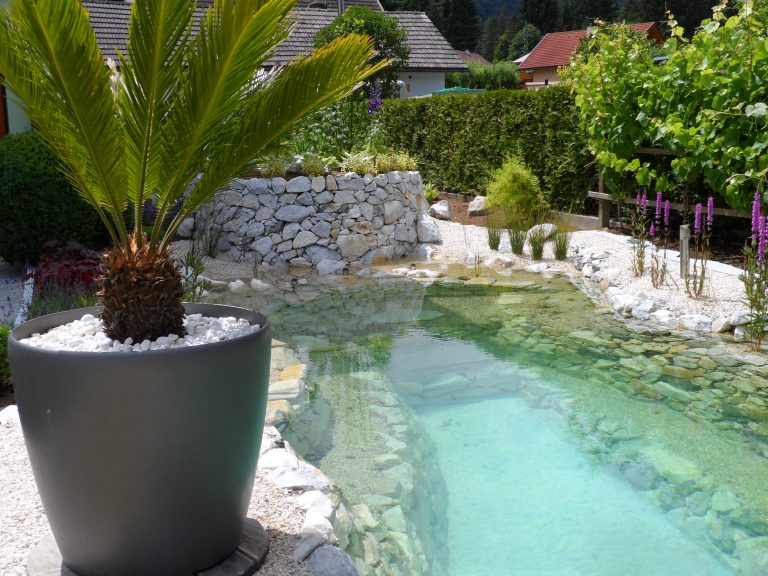 Badeteich im Garten Naturnaher Badeteich im Garten