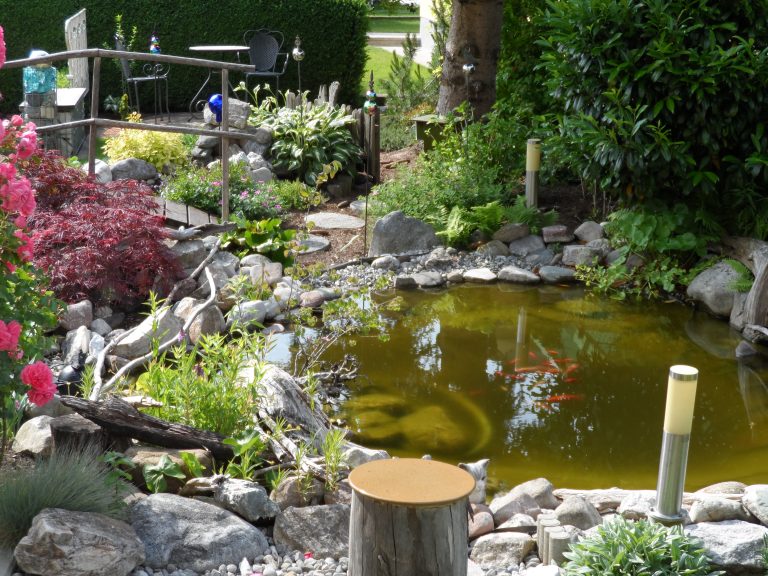 Naturteich Naturnaher Gartenteich mit Uferpflanzen