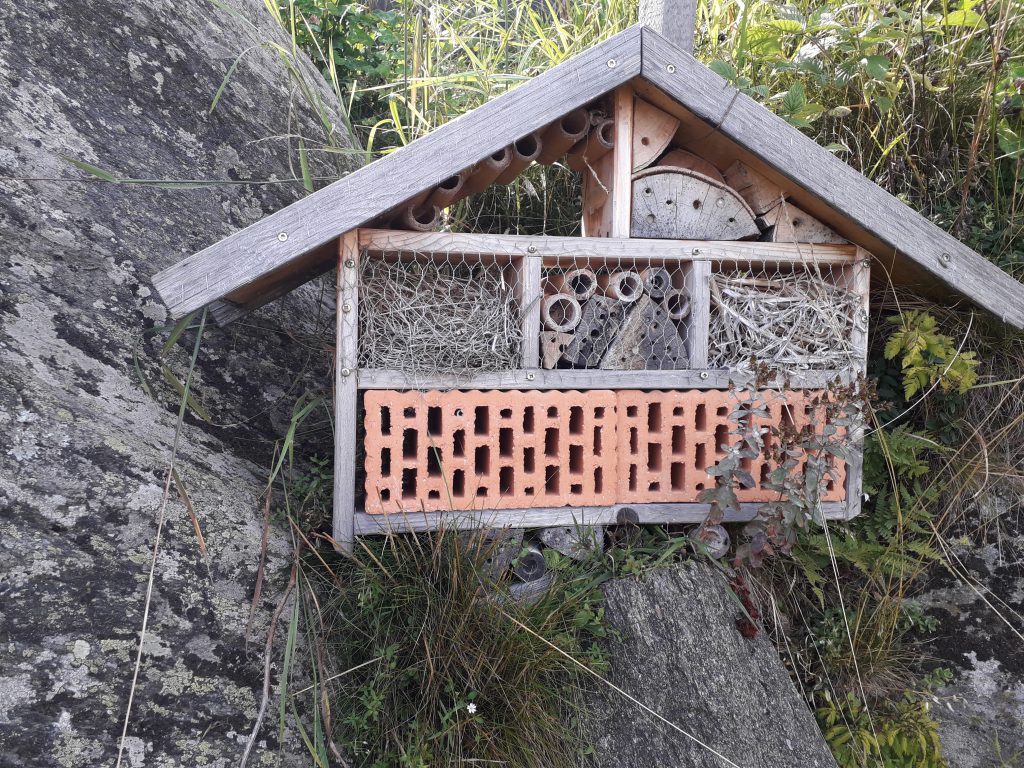 Bewohntes Insektenhotel Bewohntes Insektenhotel im naturnahen Garten