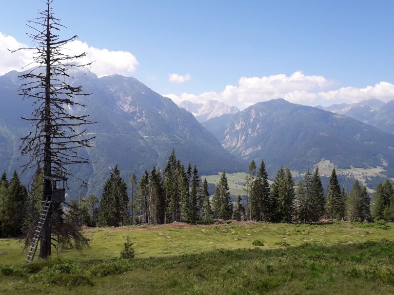 Almfläche und überlieferte Naturregeln zum Schwenden