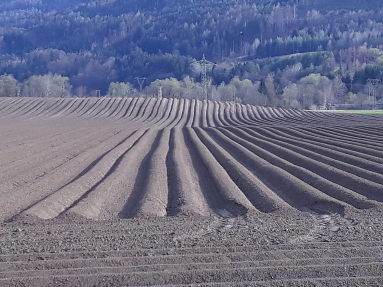 Bodenart erkennen und Erde vorbereiten Bodenart erkennen und Erde für eine gute Ernte vorbereiten