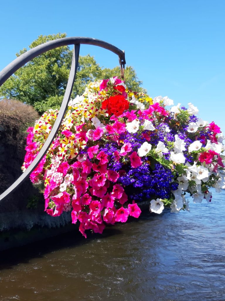 Blumenampel im Blütengarten Blumenampel als Idee beim Blütengarten anlegen