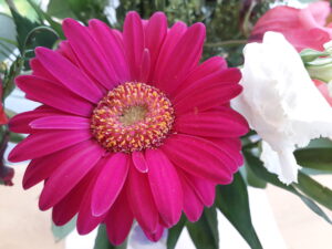 Rabatte bei Bloom & Wild