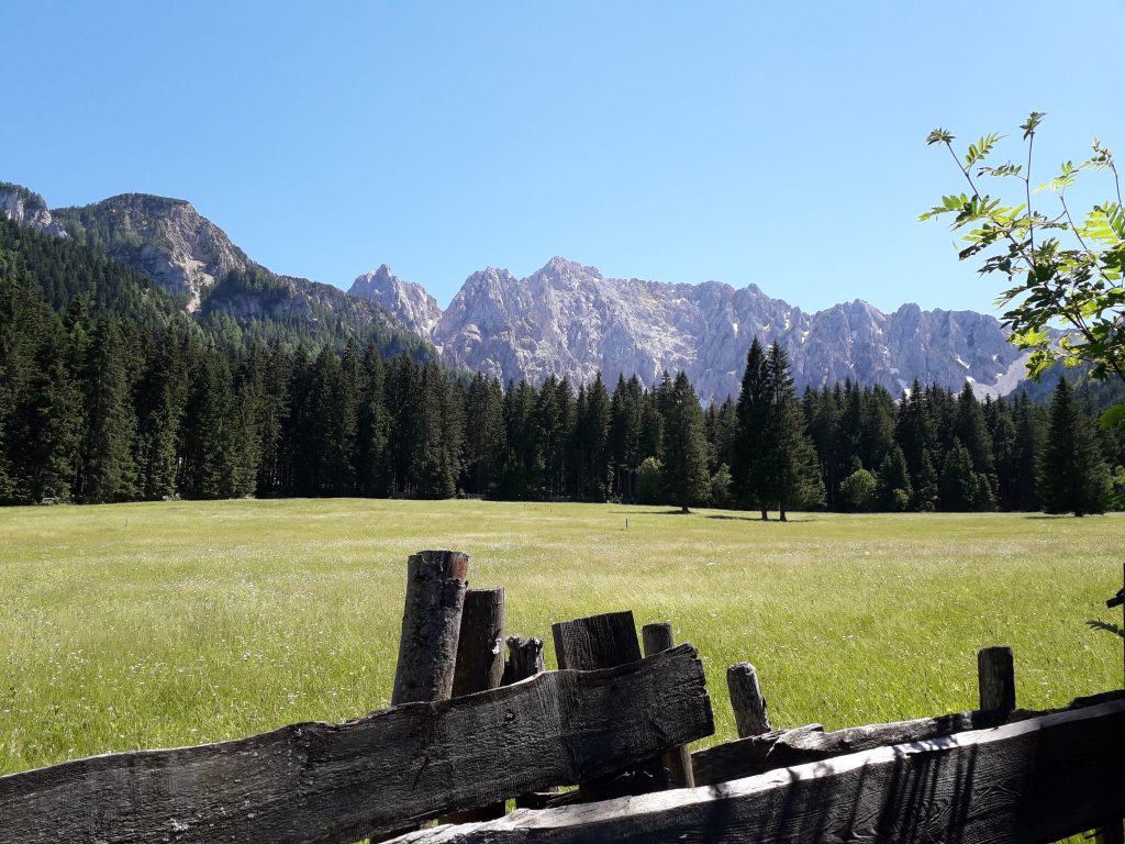 Bodental als naturnaher Erholungsraum Verbindung zur Natur in einer grünen Berglandschaft