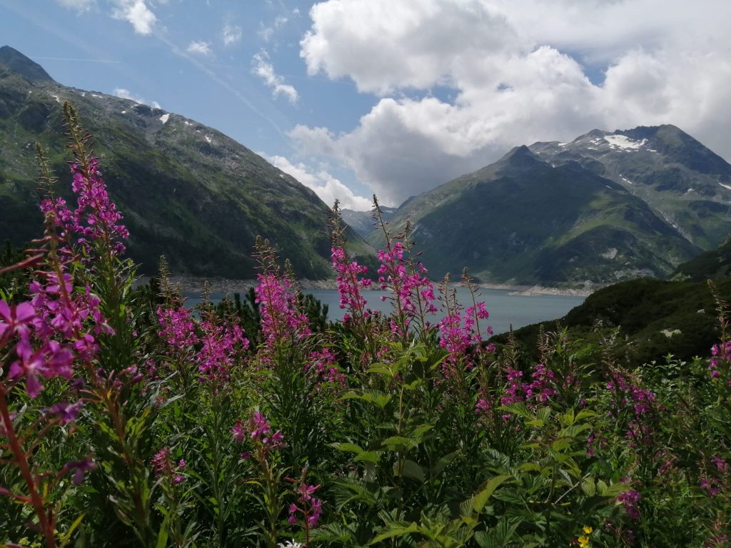 Berglandschaft und Natur erleben Natur und Wohlbefinden in einer Berglandschaft