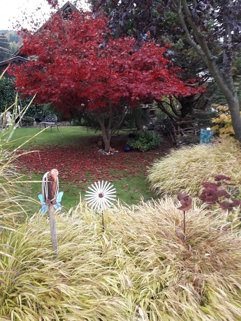 Arbeitskalender für den Garten: Gartenarbeiten von Januar bis Dezember