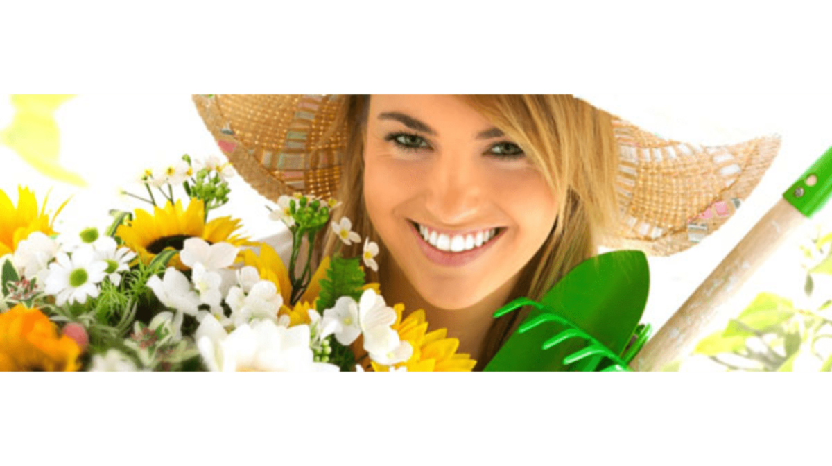 Lidl Garten Onlineshop mit Blumen und Gartengeräten