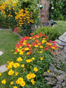 Mädchenaugen 20 Gartentipps für einen gesunden und blühenden Garten