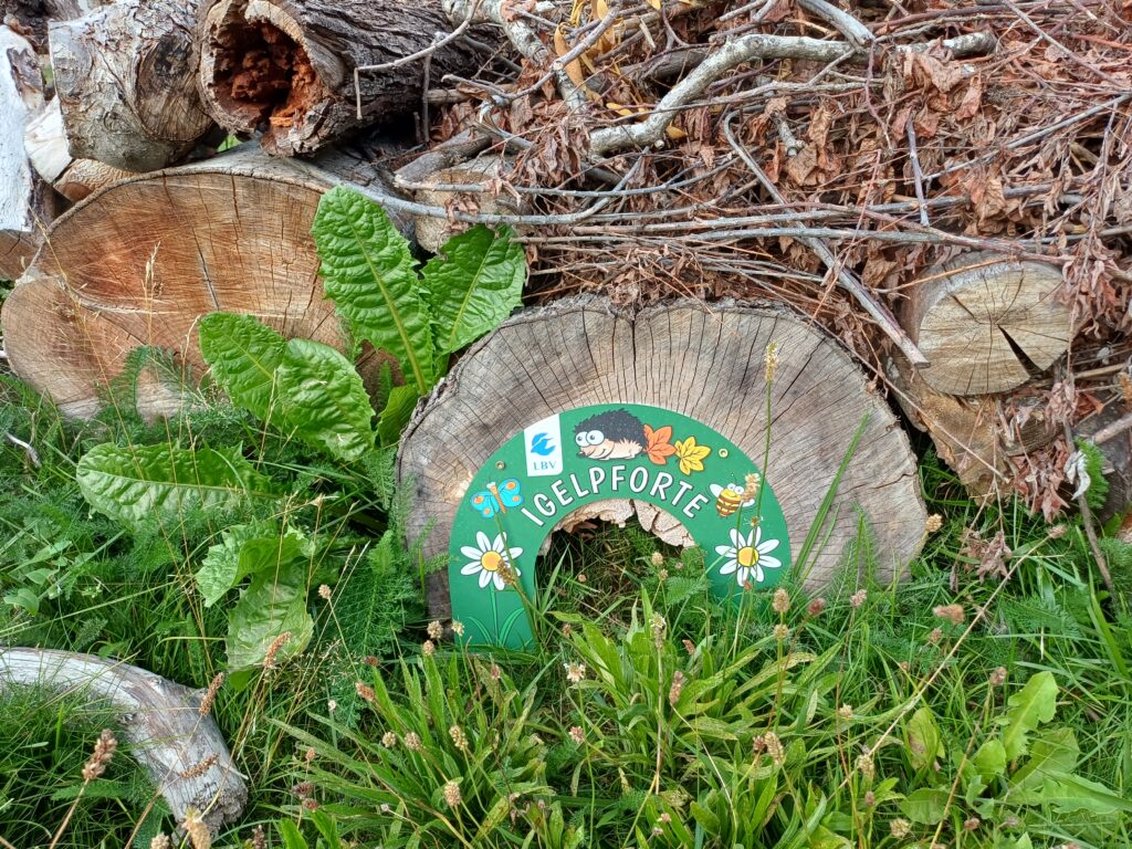Gartengestaltung für nützliche Tiere mit Igelpforte aus Holz