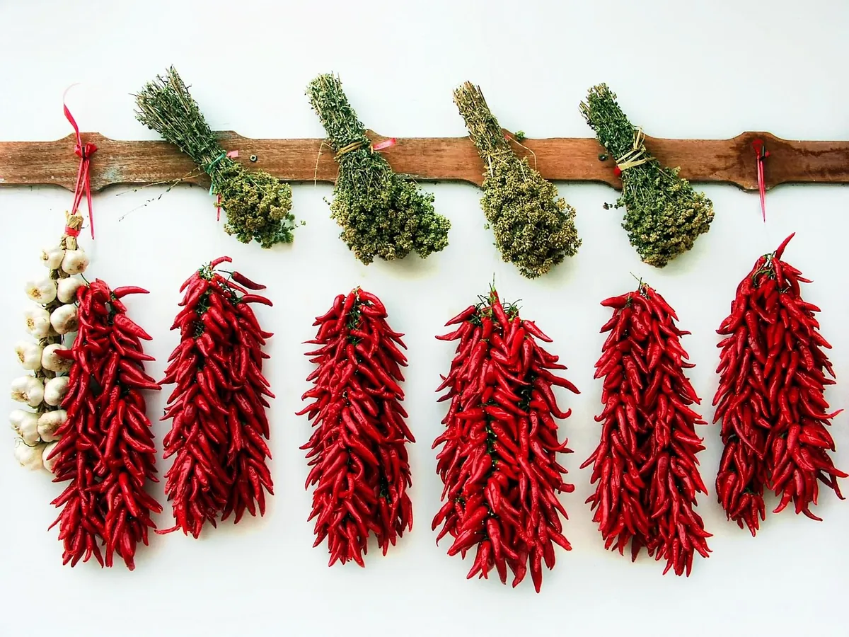 Getrocknete Kräuter, rote Chilischoten und Knoblauch an einer Holzstange